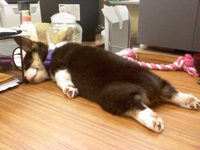 Hard Day At Work