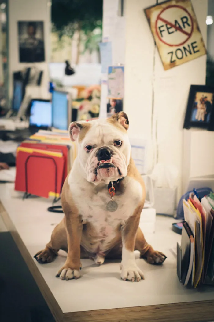 Just Another Day At The Office