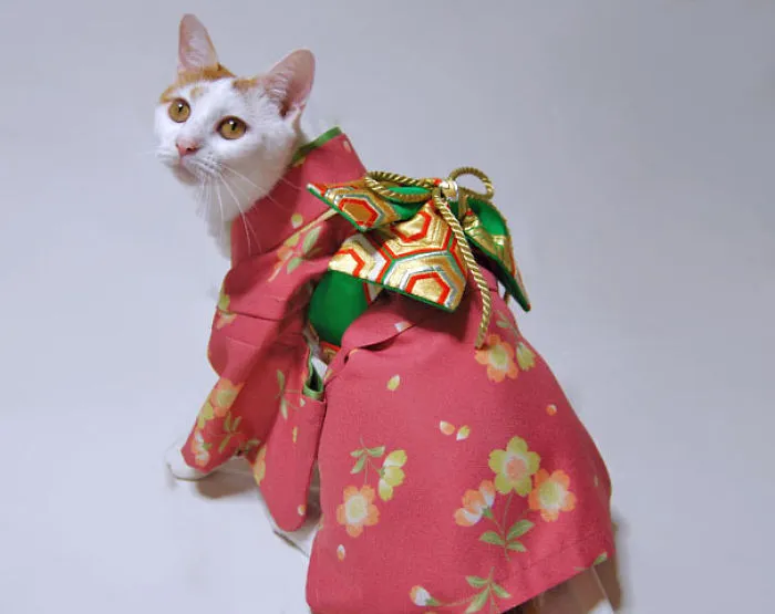 Cats In Kimonos Are A Thing In Japan