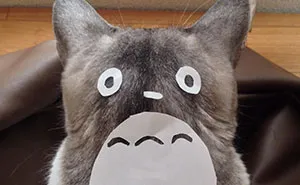 Cat Owners In Japan Are Turning Their Pets Into Totoro