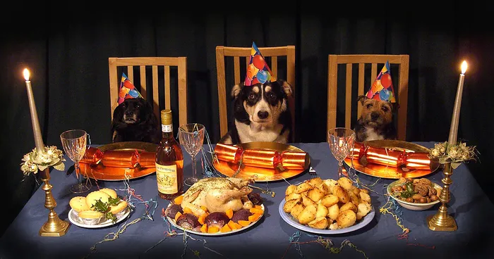 My Christmas Cards For The Last Eight Years