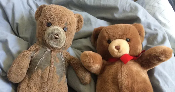 30 Years Ago, This Mom Bought 2 Identical Teddies - One For Her Son And Another For Her Son's Child