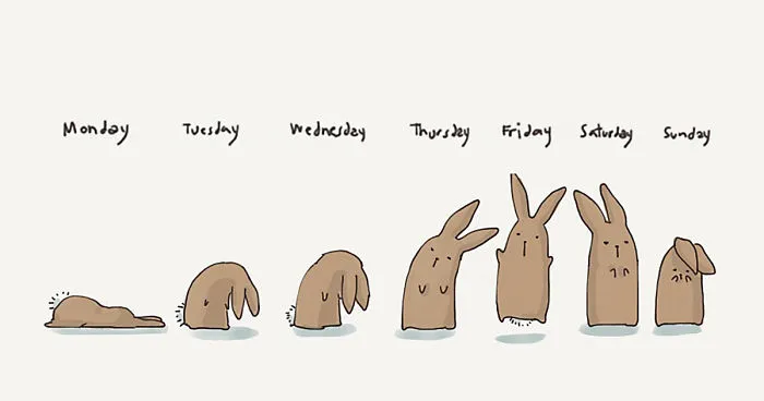 The Big Adventures Of A Little Bunny
