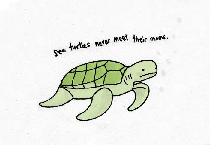 Sad Animal Facts Are The Cutest Way To Ruin Your Day