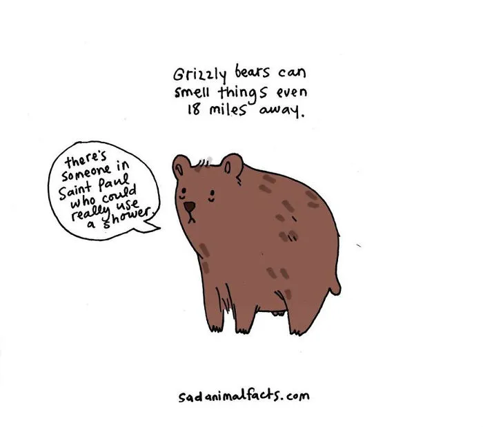 Sad Animal Facts Are The Cutest Way To Ruin Your Day