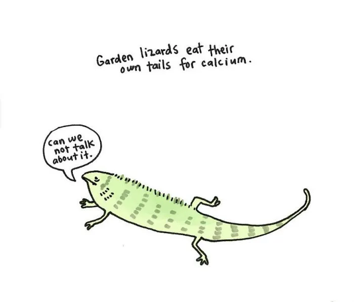Sad Animal Facts Are The Cutest Way To Ruin Your Day