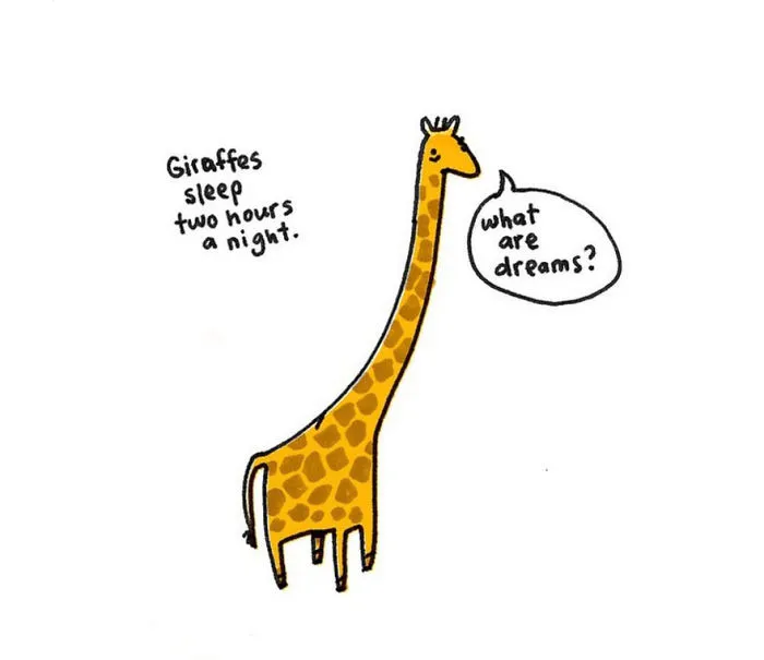 Sad Animal Facts Are The Cutest Way To Ruin Your Day