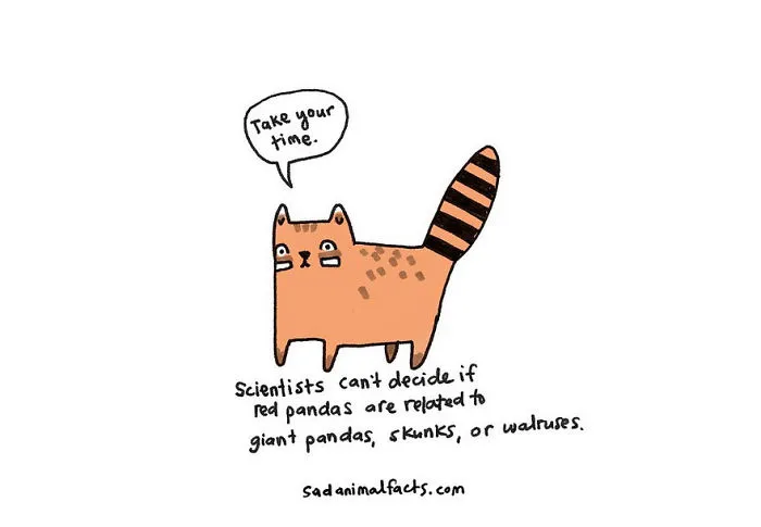 Sad Animal Facts Are The Cutest Way To Ruin Your Day