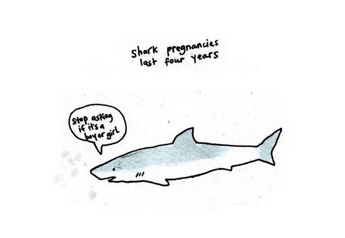 Sad Animal Facts Are The Cutest Way To Ruin Your Day