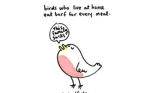 Sad Animal Facts Are The Cutest Way To Ruin Your Day