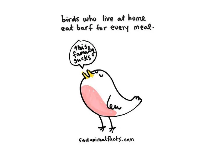 Sad Animal