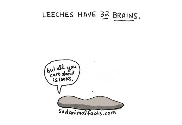 Sad Animal Facts Are The Cutest Way To Ruin Your Day