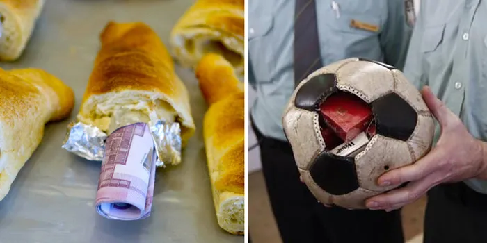 18 Of The Weirdest Smuggling Schemes Ever Caught By Customs