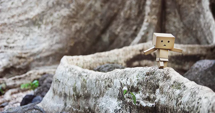 My Photographic Project Of The Famous Danbo