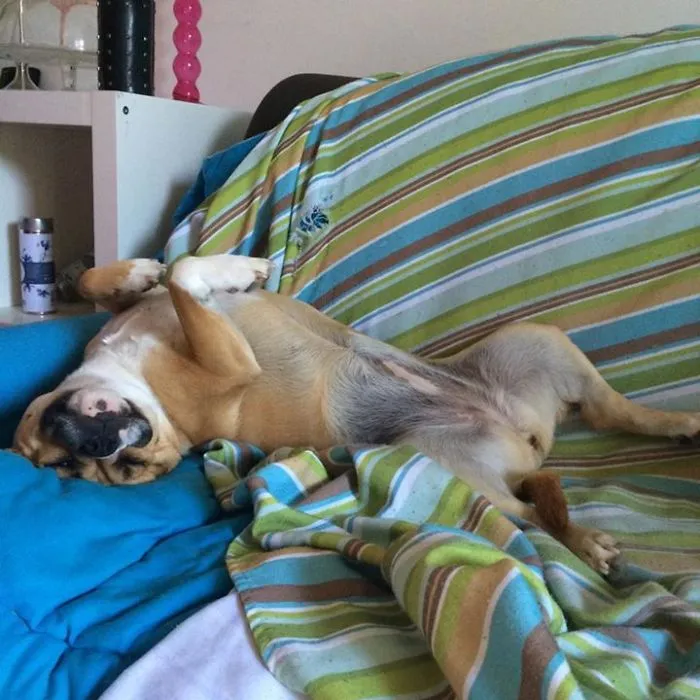 Paint Me Like One Of Your French Girls