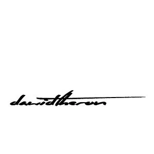 Dawid Theron
