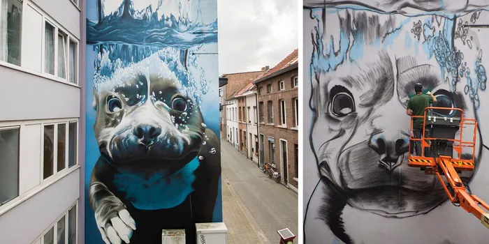 4-Story Street Art Mural Of A Dog Diving Underwater Unveiled In Belgium