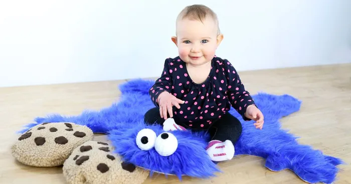 DIY Cookie Monster Fur Rug With Cookie Pillows