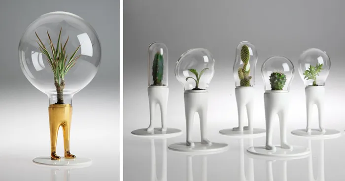 Artist's Surreal Terrariums Give Plants Legs