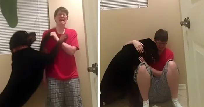 Dog Saves Owner With Asperger's Syndrome From  Violent Meltdown