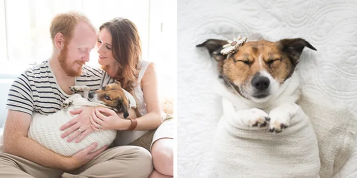 This Couple Took An Amazing Newborn Photoshoot... With Their Dog