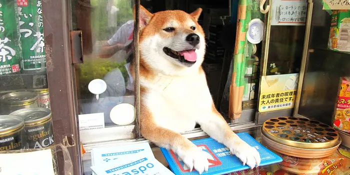 This Dog Opens The Window For Customers At A Small Cigarette Shop In Japan