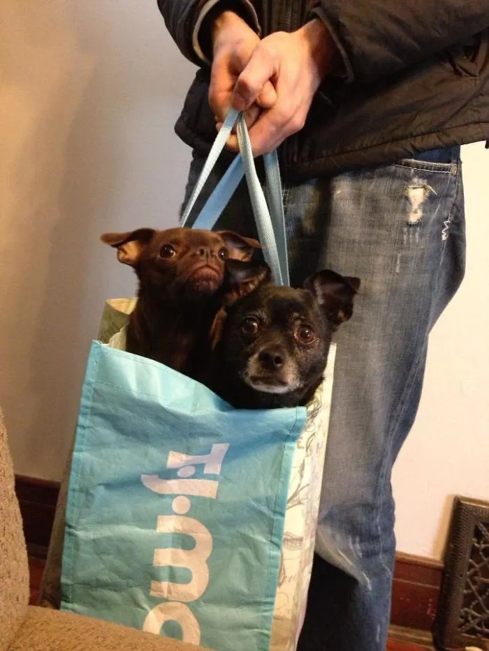 Doggie Bag