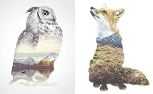 We Take Double-Exposure Animal Portraits To Escape The Daily Routine