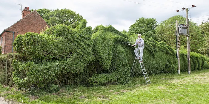 Elderly Man Spent 10 Years Turning 150-Ft-Long Hedge Into Giant Dragon
