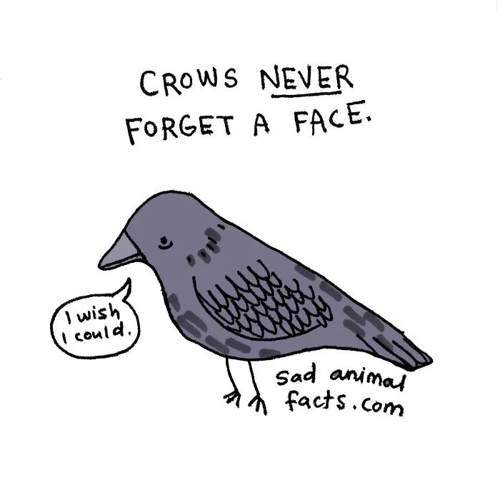 Sad Animal Facts Are The Cutest Way To Ruin Your Day