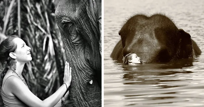 The Friendship With An Elephant I Met In South East Asia