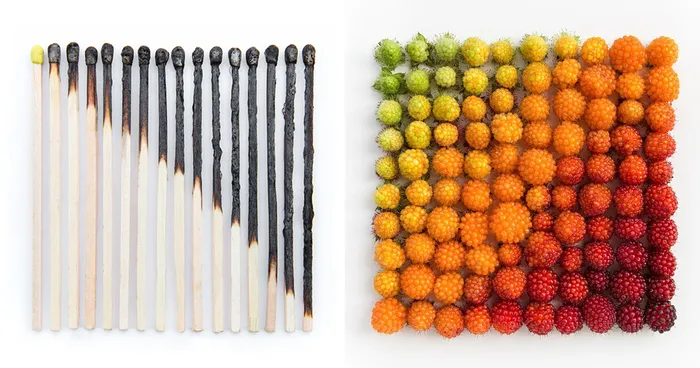Satisfying Arrangements Of Everyday Objects By Emily Blincoe