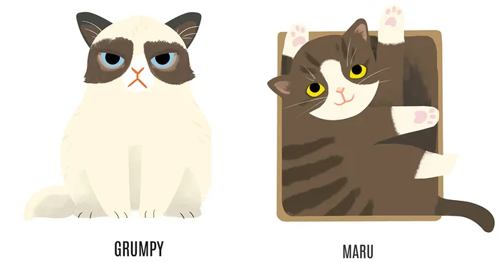 I Draw The Most Famous Cats On The Internet
