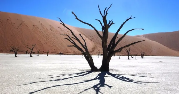 We Got Lost In Namibia