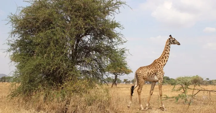 Photos Of My Trip To Tanzania And Burundi