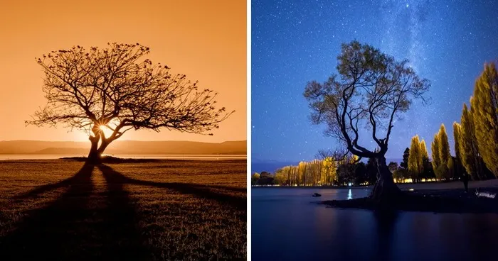 It's Ok To Stand Alone: I Take Pictures Of Lone Trees