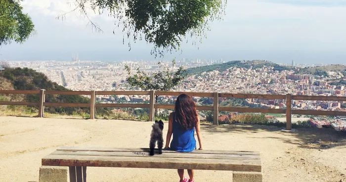 "Travel" With My Dog: I Photoshopped My Dog Into My Traveling Photos