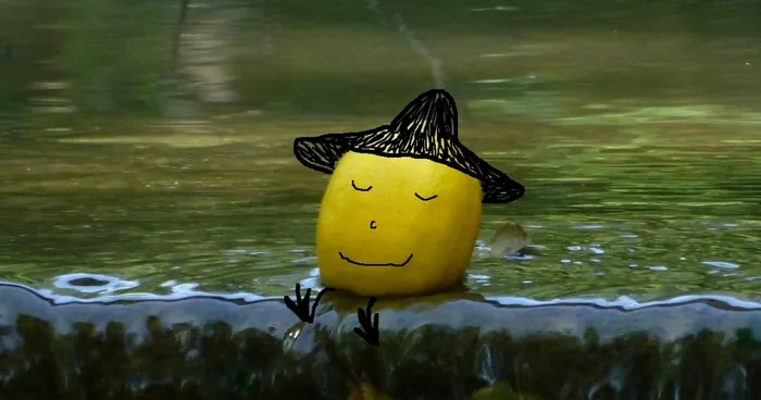 My Little Lemons' Adventures Around The World