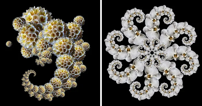Fractals And Beyond: My Digitally Designed Complex Structures