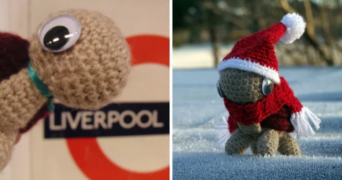 Crochet Tortoise Travelling The World