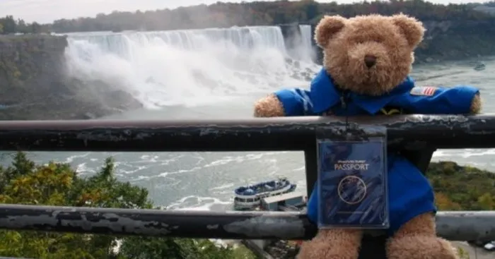 Travelling Teddy Bear Reunited With Owner After 7 Years