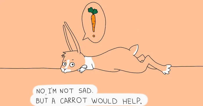 Everything You Always Wanted To Know About Rabbits, But Were Afraid To Ask
