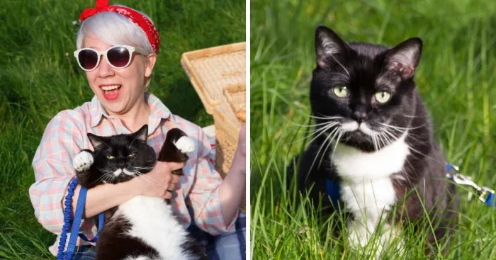 My Second Cativersary With Bill Furray