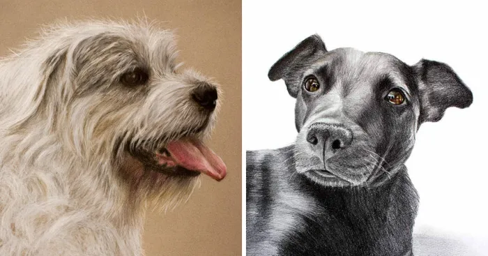 Dog Portraits Painted In Exchange For Their Stories