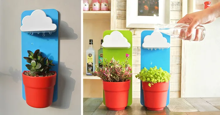 Rainy Pot: Now Your Flowers Can Have Their Very Own Rain Clouds
