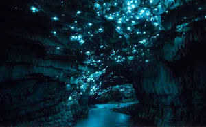 Long Exposure Photos Of Glowworms Turn New Zealand Cave Into Starry Night