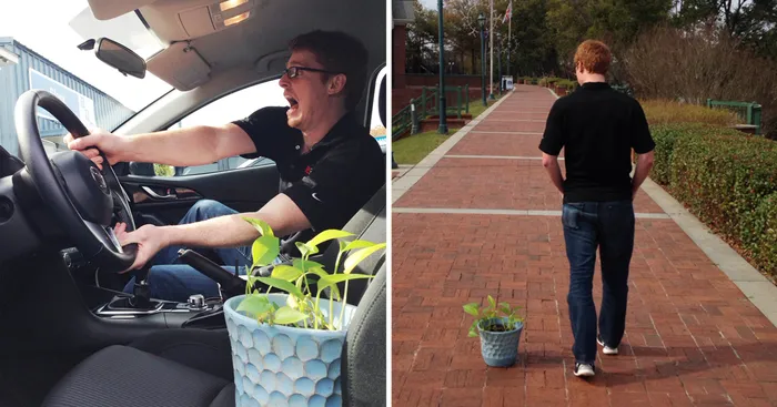 A Coworker Asked This Guy To Watch Her Plant For 4 Days. Here's What He Did