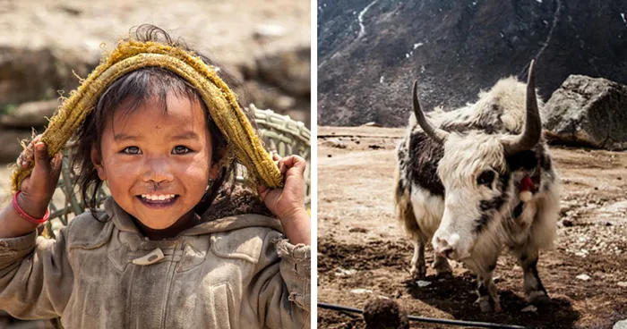 I'm Helping Nepal By Selling My Photos Of The Himalayas And Donating The Money