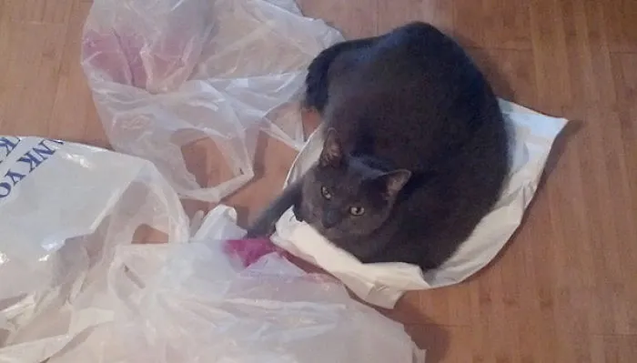 Bag Hoarder