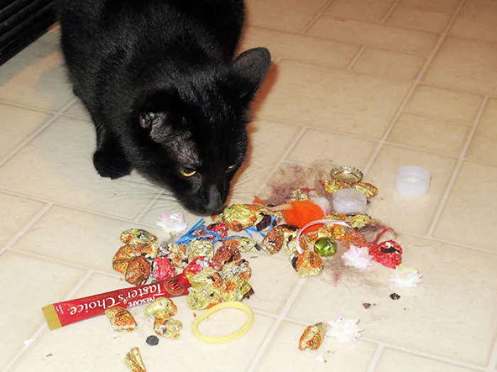 Butters' Stash